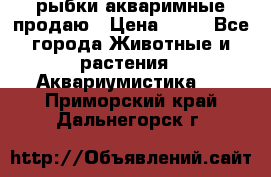 рыбки акваримные продаю › Цена ­ 30 - Все города Животные и растения » Аквариумистика   . Приморский край,Дальнегорск г.